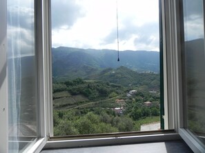 Interior - 2 zulin farm with terrace LEVANTO from 4 to 7 people 011017-AGR-0025 (Levanto)