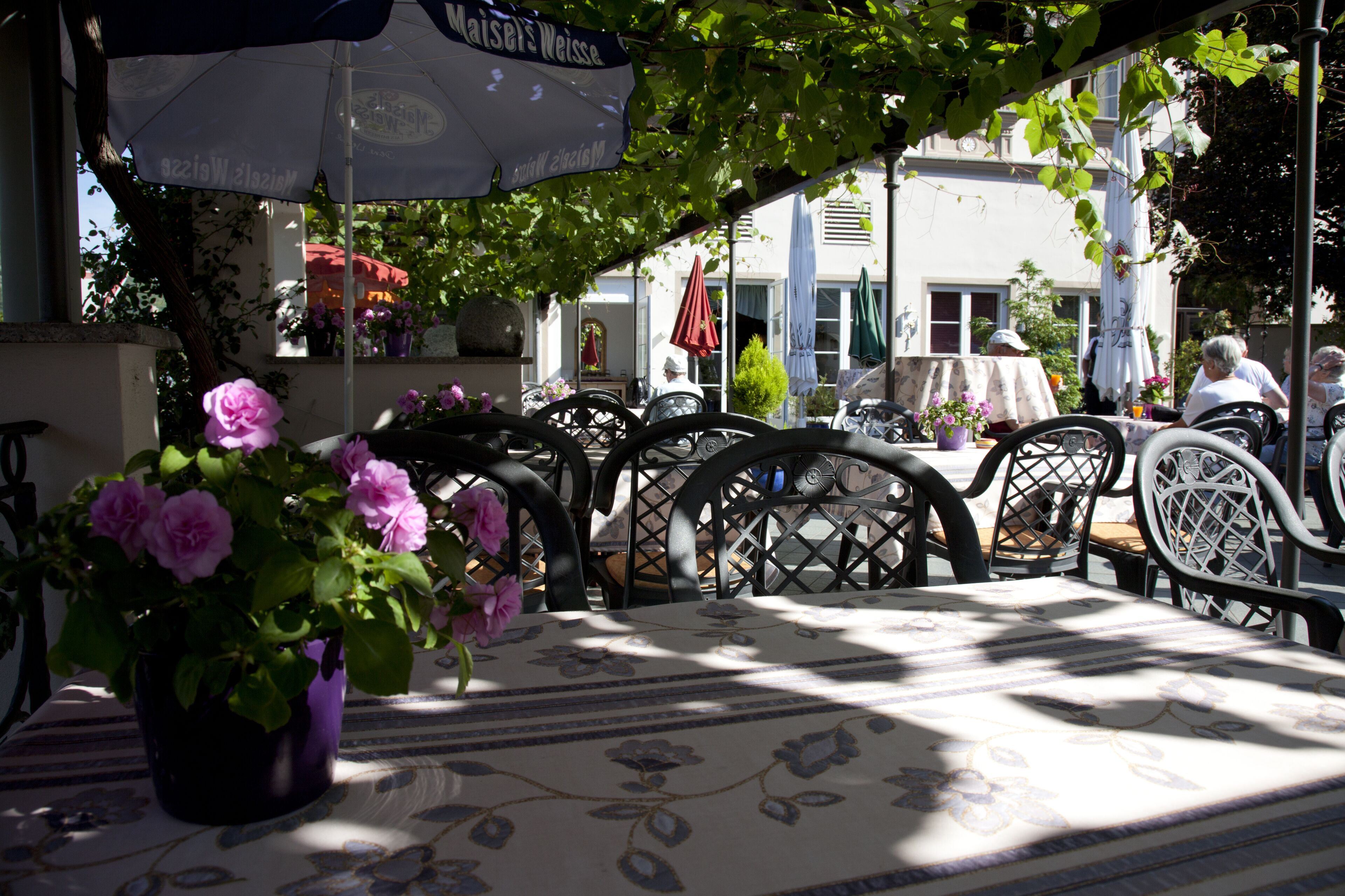 lunch, dinner served; international cuisine, al fresco dining