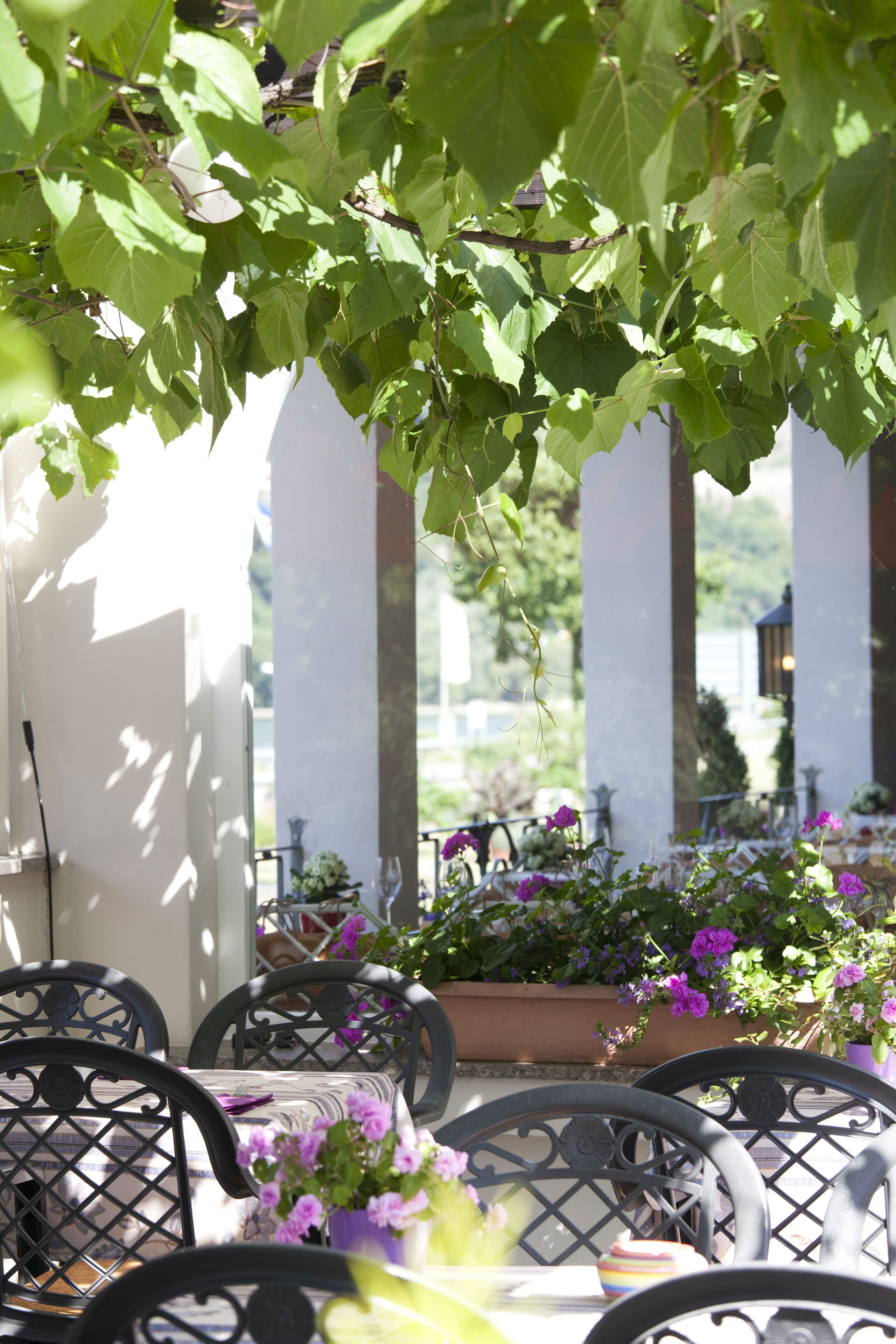 An outdoor seating area with metal chairs and tables, surrounded by greenery and flowers.