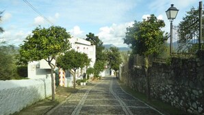 Una strada acciottolata fiancheggiata da alberi e un edificio bianco con un tendone a righe rosse e gialle.