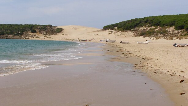 Una spiaggia sabbiosa con barche e una collina verde sullo sfondo.