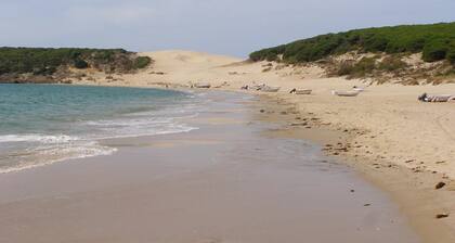 Accommodation from 5 to 15 seats Alcornocales Natural Park, Cadiz, Andalucia Spain