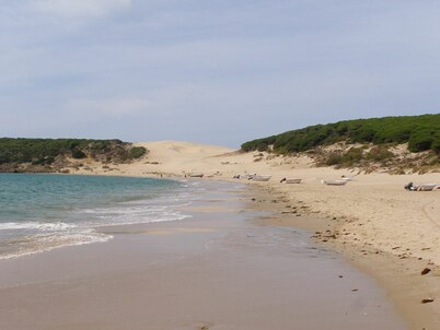 Accommodation from 5 to 15 seats Alcornocales Natural Park, Cadiz, Andalucia Spain