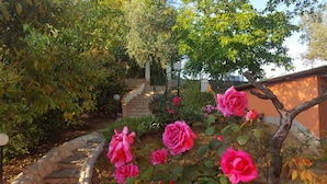 Un jardin avec des rosiers roses, un chemin de pierres et un escalier menant à une maison.