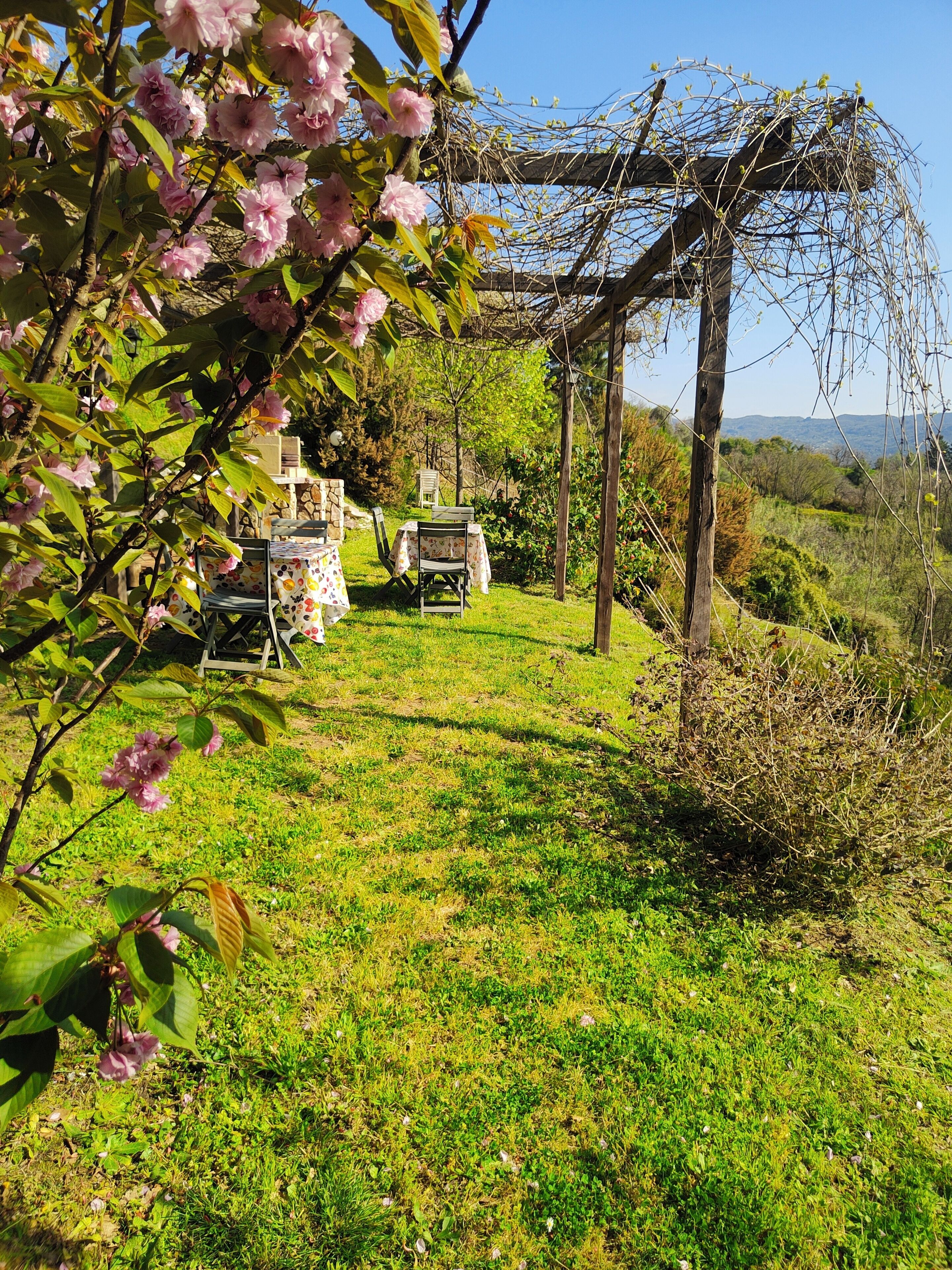 Ein Garten mit einer Pergola, einem Tisch mit Stühlen und einer Steinmauer im Hintergrund.