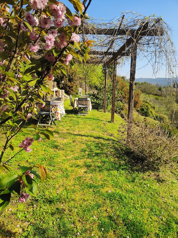 A garden with a pergola, a table with chairs, and a stone wall in the background.