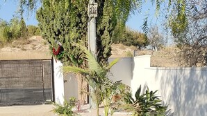 Een tuin met verschillende plantenpotten en een decoratieve boom.