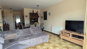 TV, DVD player, table tennis
