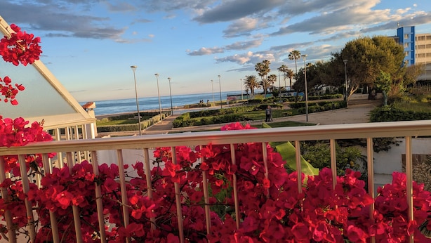 Un balcón con flores rojas, vistas al mar y un parque con palmeras.