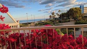 Un balcón con flores rojas, vistas al mar y un parque con palmeras.