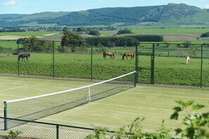 Sports court