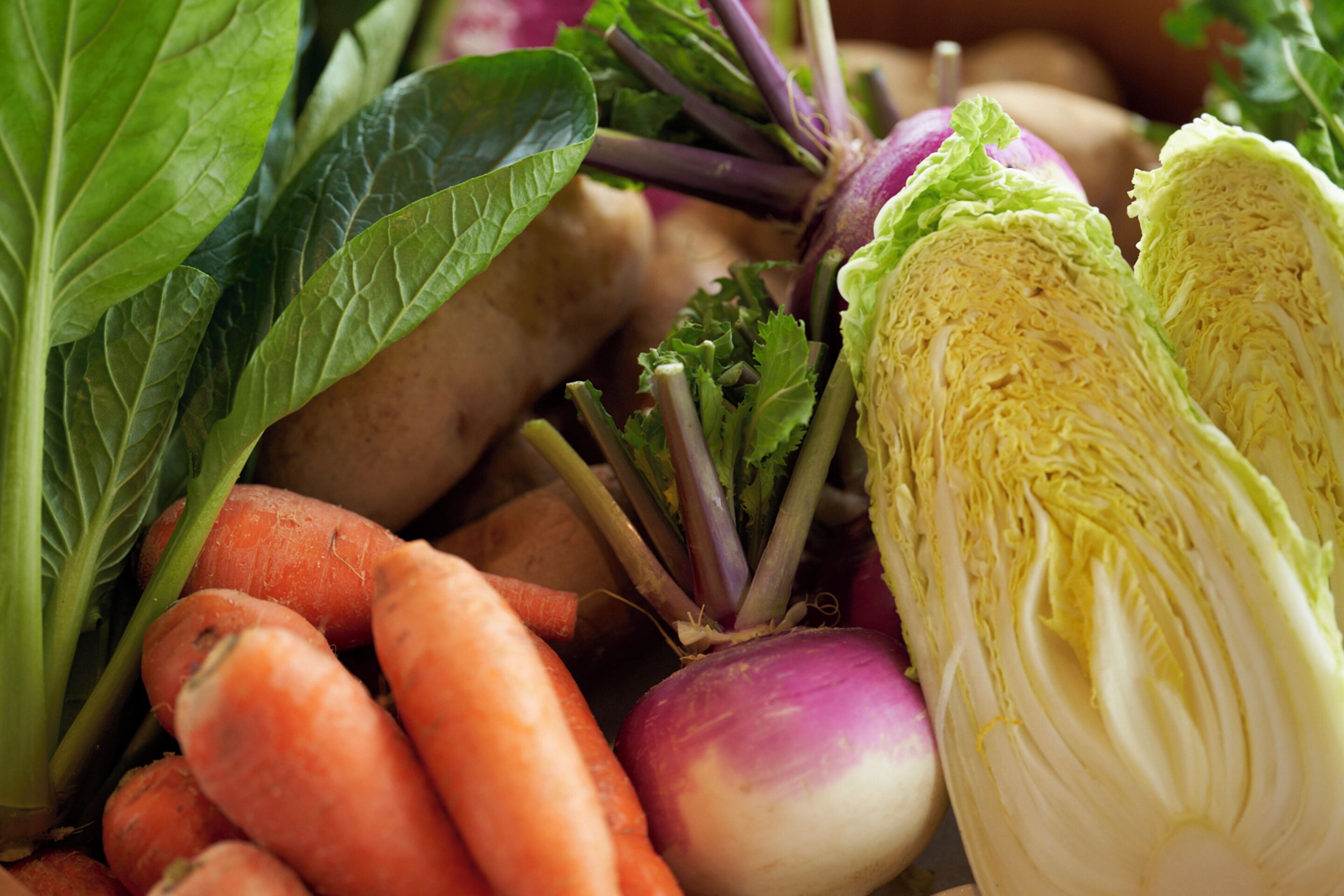 Variedad de verduras, incluyendo zanahorias, remolachas y hojas verdes.