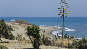 A beach with a clear view of the ocean, a few people walking, and a tall plant in the foreground. - 213 Lux-Serv Apart-Estepona, 2-B'room, All Year 28c, 20m Heated Pool. Sea Views (Estepona)