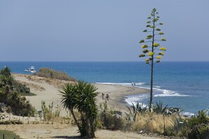 Plage, chaises longues, serviettes de plage