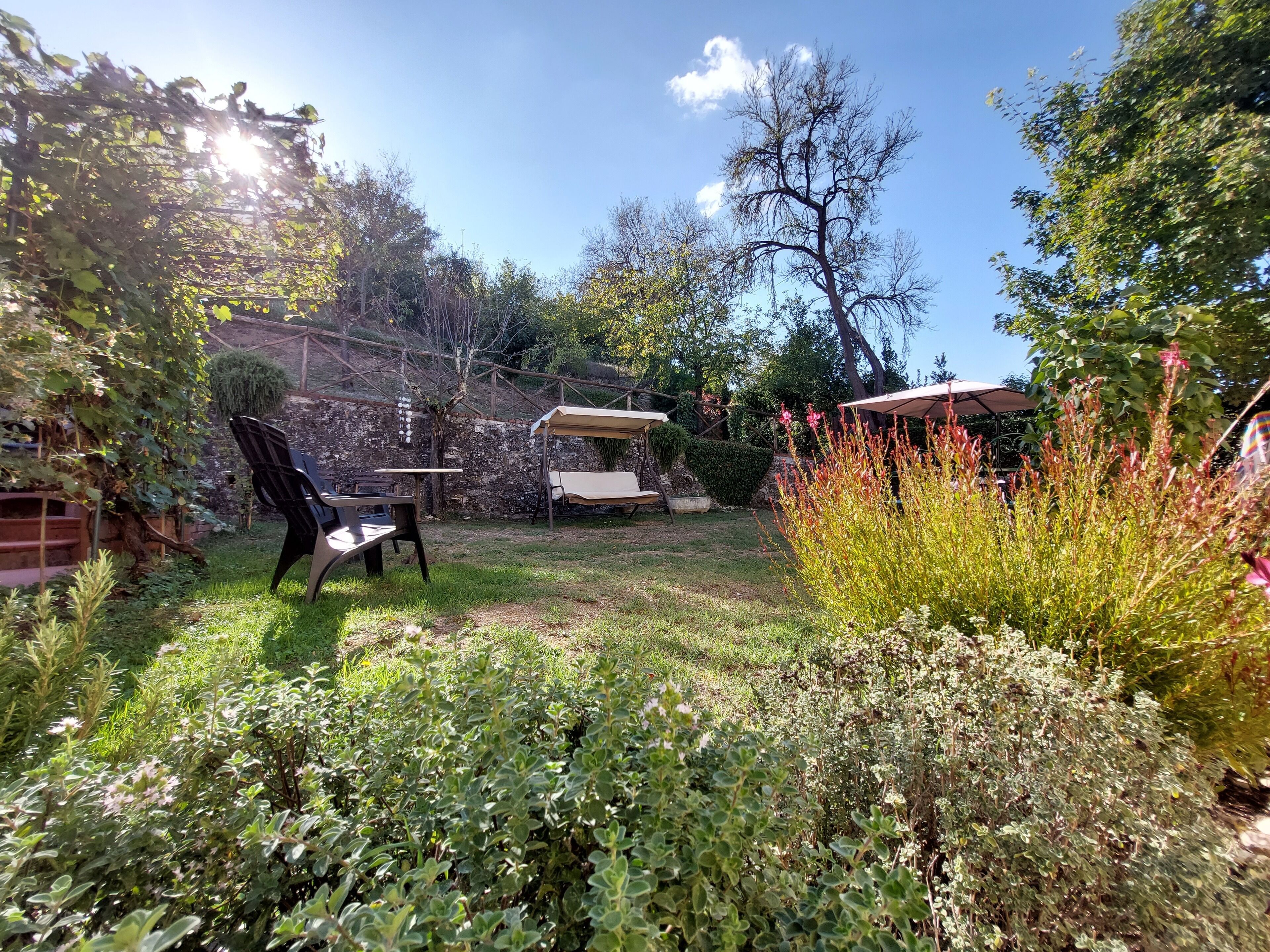 Un jardín con mesa y sillas, una pérgola y diversas plantas.