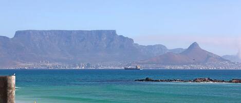 内装