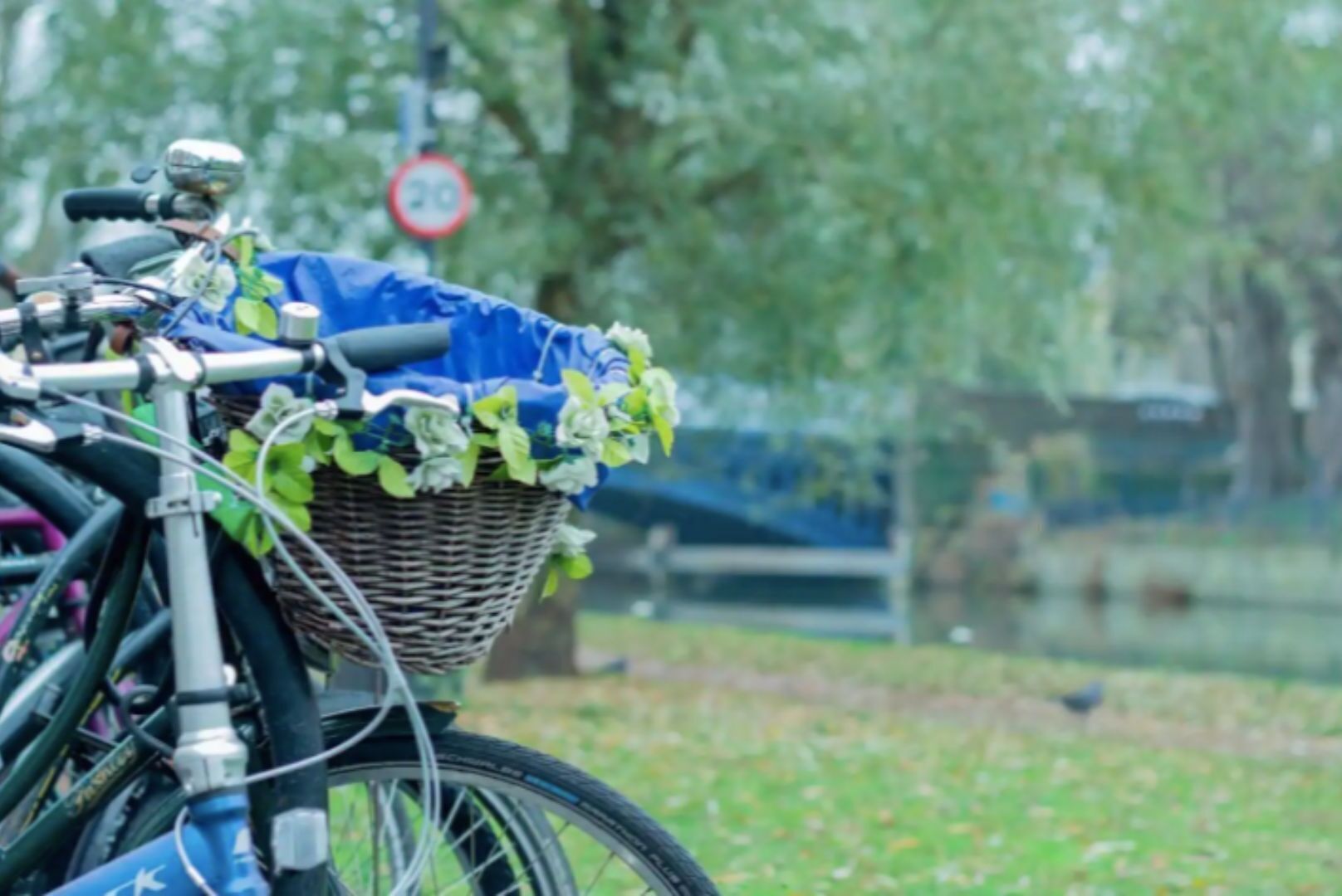 En cykel med en korg full av gröna växter, parkerad på en gräsyta med en skylt som visar hastighetsbegränsningen i bakgrunden.