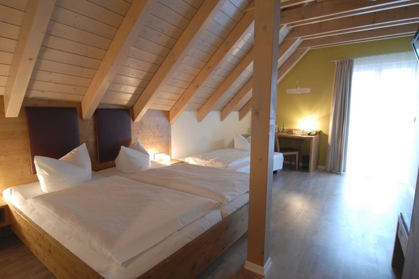 Desk, iron/ironing board, free WiFi