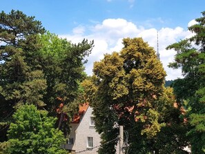 A house with a stone facade, surrounded by dense trees and a clear sky.