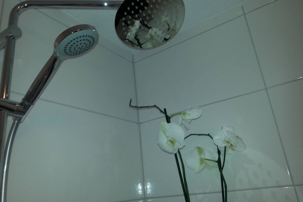 Regadera en el baño