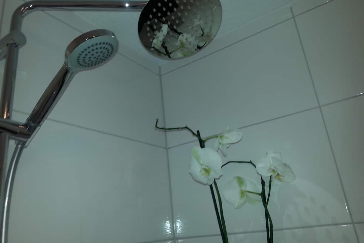 Badkamer met douche