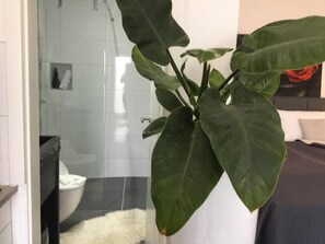 Dusche, Regendusche, kostenlose Toilettenartikel, Haartrockner