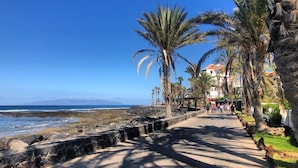 A coastal walkway lined with palm trees and a stone wall, leading to a beach with rocky terrain. - Parque Santiago 1: Seafront apartment with private terrace & £100K pool makeover (Costa Adeje)