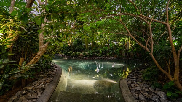 A tranquil garden with a clear water feature, surrounded by lush greenery and stone borders. - The Mews Jalan Yap Kwan Seng by Joanne (Kuala Lumpur)