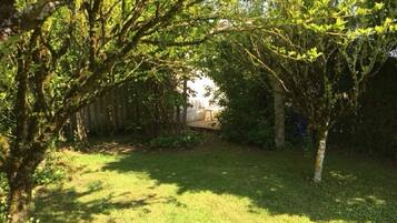 A garden with a wooden fence, trees, and a grassy area.