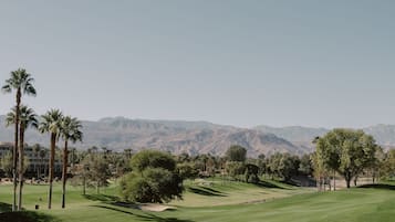 Golf view