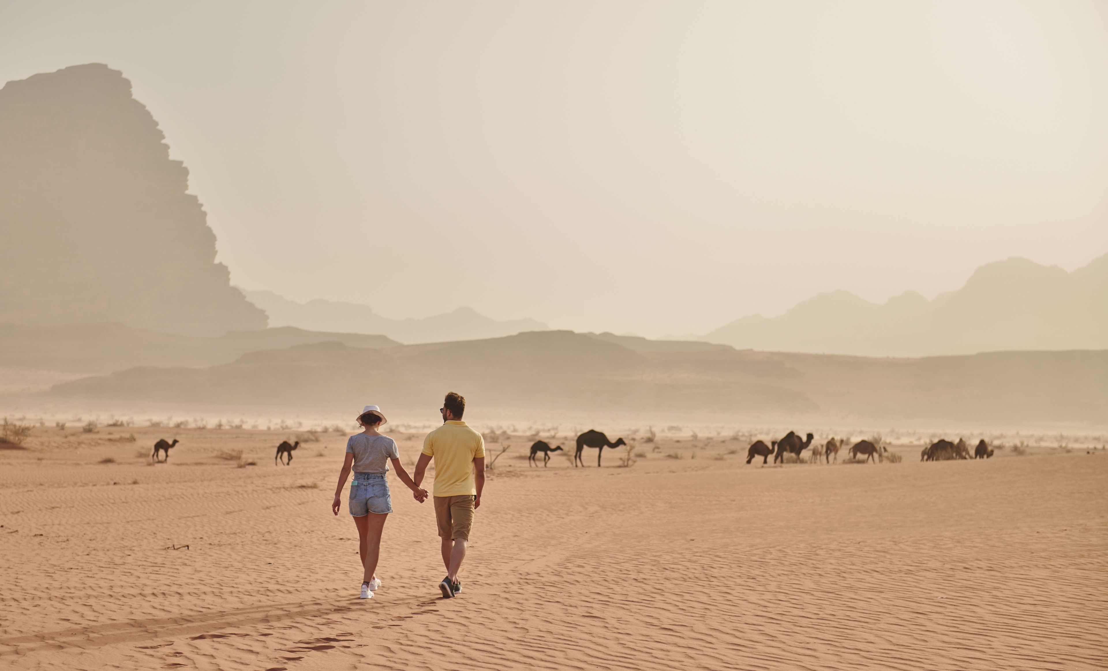 A desert landscape with a large rock formation and camels in the background.