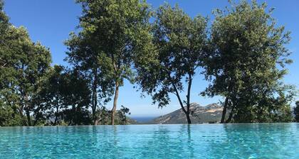 Maison d'architecte avec piscine dans site exceptionnel