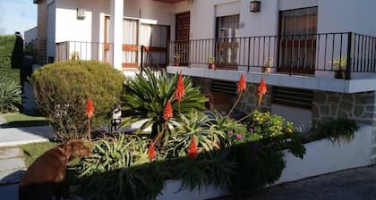 Linda casa, jardín y piscina privada, playa y centro de la ciudad Figueira Foz