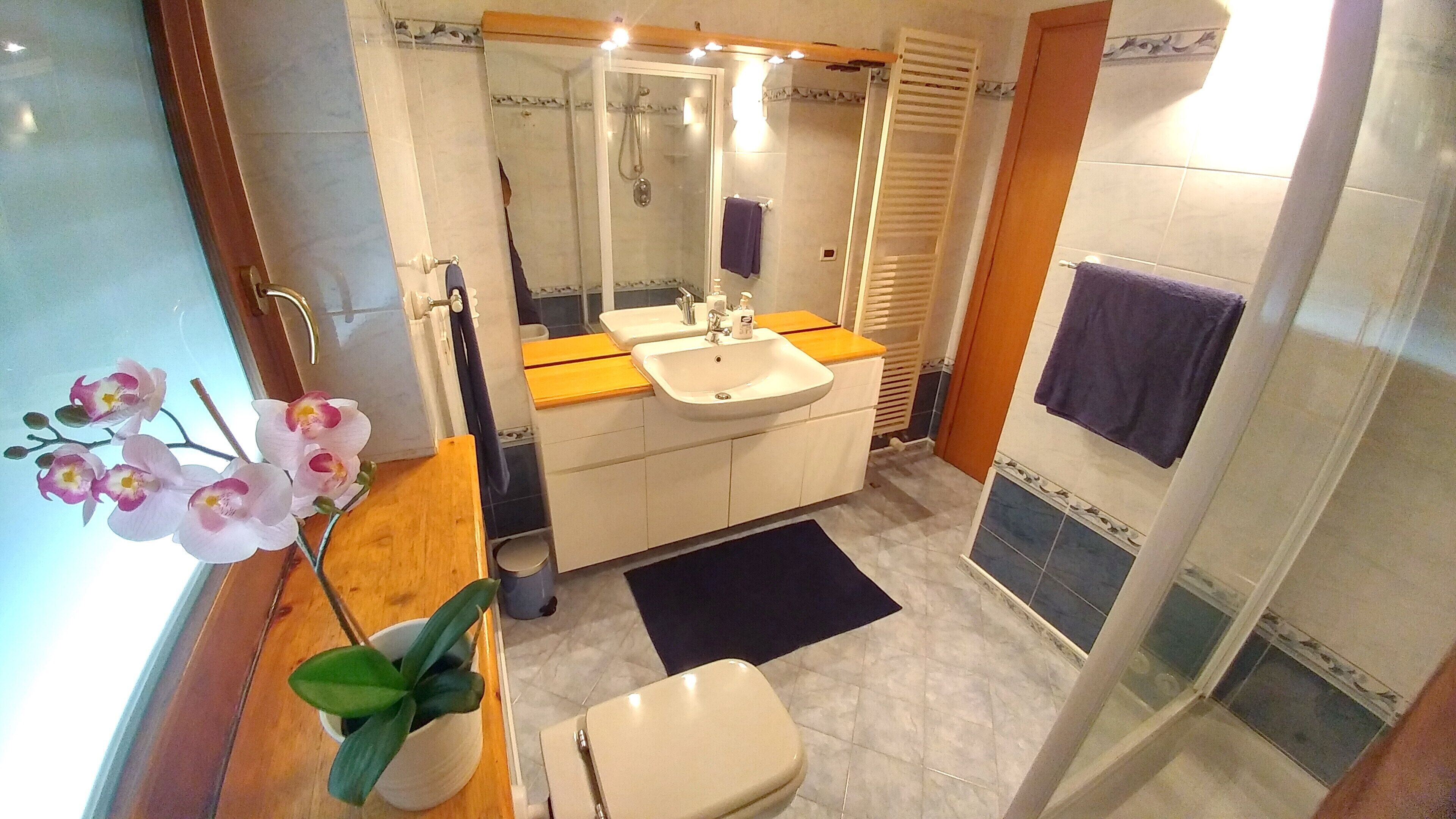 Et badeværelse med en hvid vask, et spejl og et toilet. Der står en orkidé i en potte på bordet.