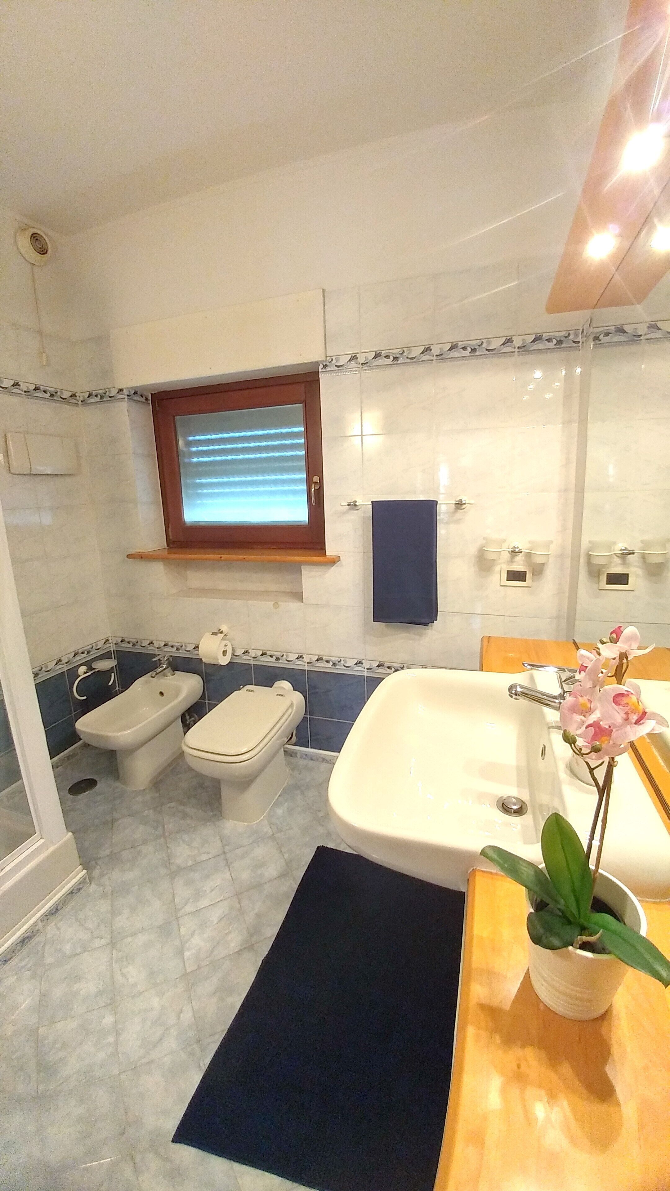 Une salle de bain avec deux toilettes, une baignoire, un lavabo, une fenêtre et un pot d’orchidée.