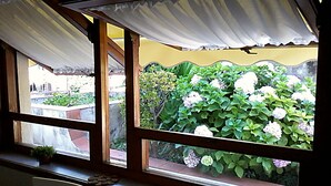 Una habitación con vistas a un jardín a través de una ventana con marco de madera y cortinas blancas.