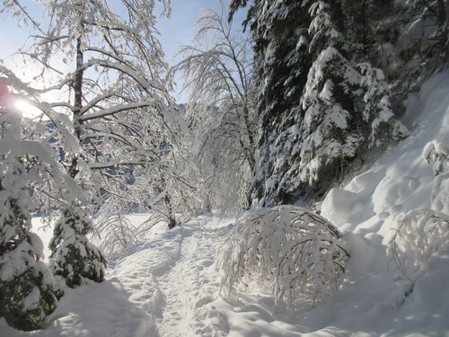 Quiet vacations between GERARDMER AND LA BRESSE