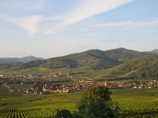 A rural town nestled in a valley with vineyards and rolling hills in the background.