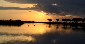 Beach - apartment/ flat - 2 rooms - 2/4 persons (Orosei)