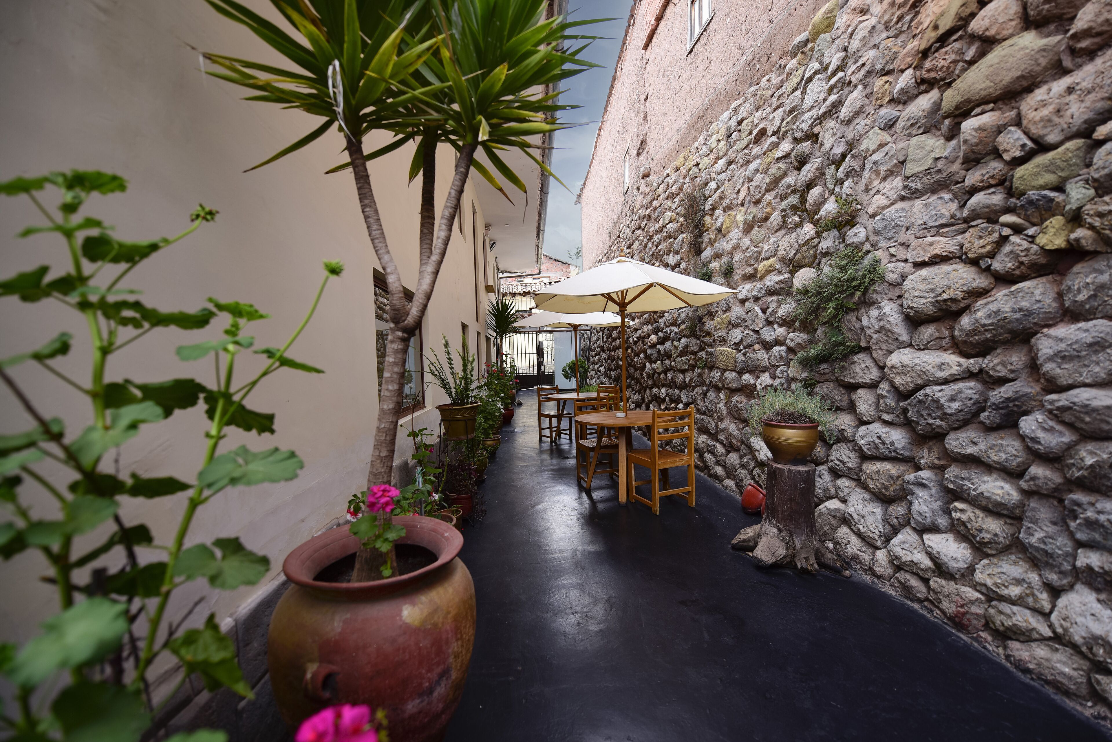 43-inch smart tv with digital channels, tv, netflix