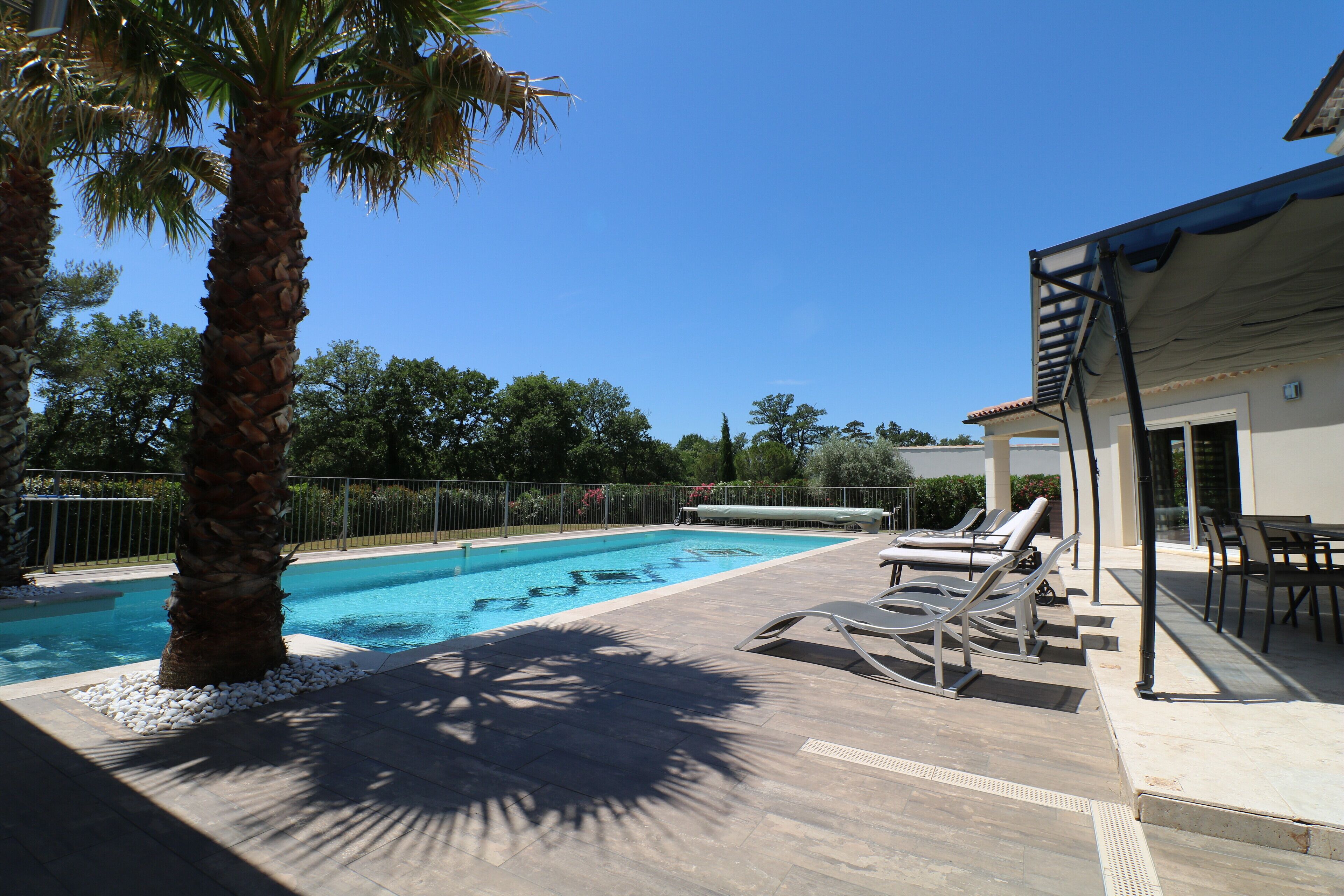 A swimming pool with lounge chairs, a palm tree, and a covered patio area.