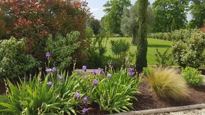 A landscaped garden with various plants and flowers, a building with a tiled roof, and a grassy area in the background. - Pool, 4 chambres, 4 SdB, clima, cuisine extérieure, grands jardins, aire de jeux (Carpentras)