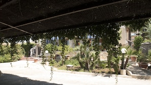 An outdoor area with a covered walkway, potted plants, and a stone pathway.