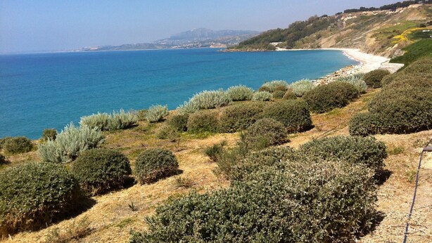 A coastal landscape with a beach, dense shrubbery, and a clear view of the sea.