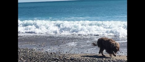 Plage à proximité