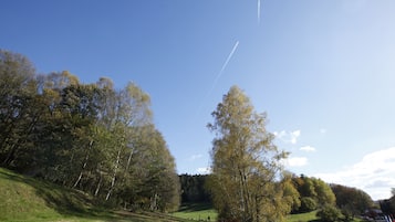 Ein grasbewachsenes Feld mit Bäumen und blauem Himmel.
