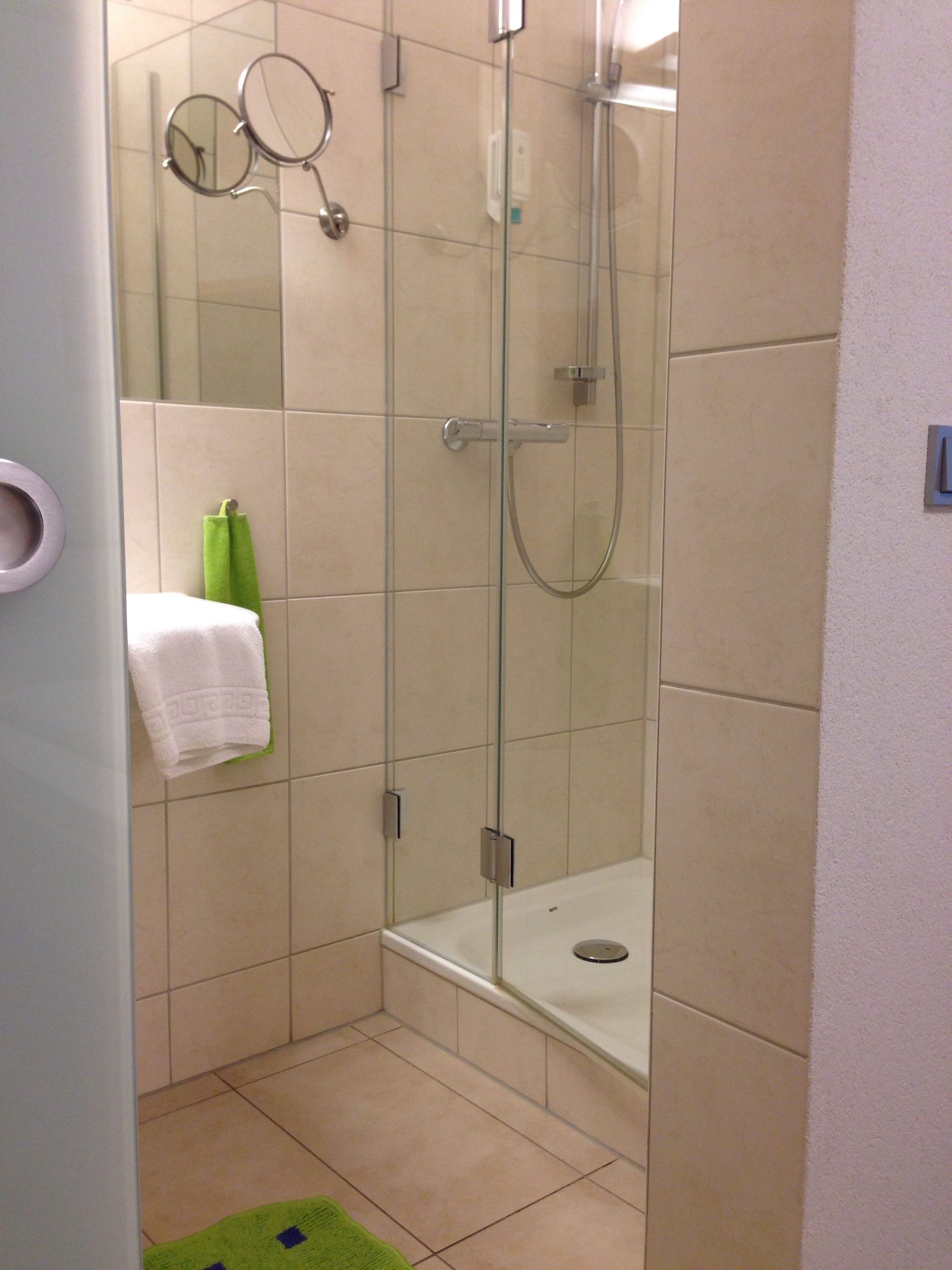 A glass-enclosed shower stall with a handheld showerhead and a handheld mirror.