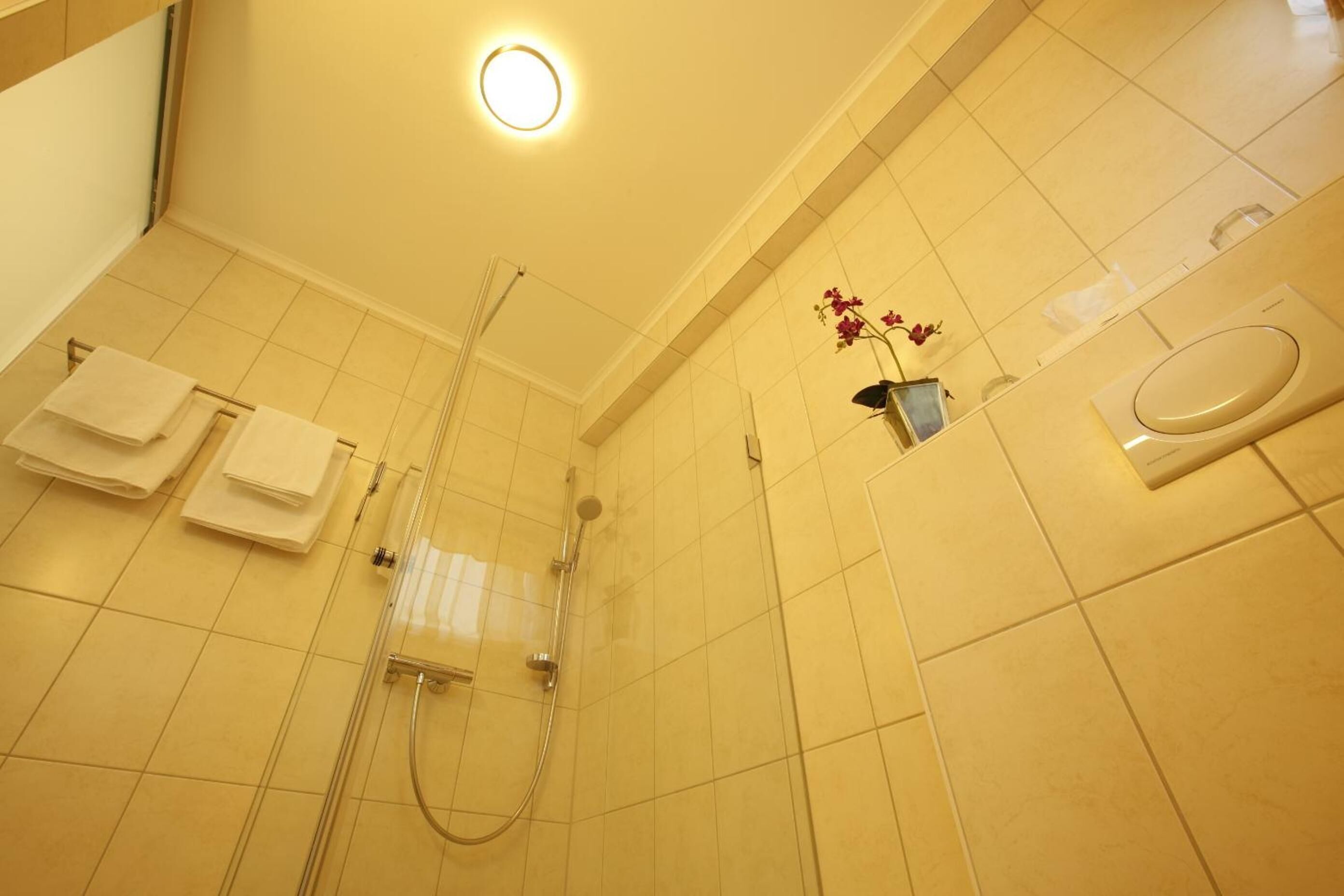 Un bagno con doccia, servizi igienici e uno specchio.