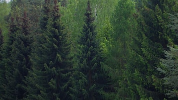 บริเวณภายนอก