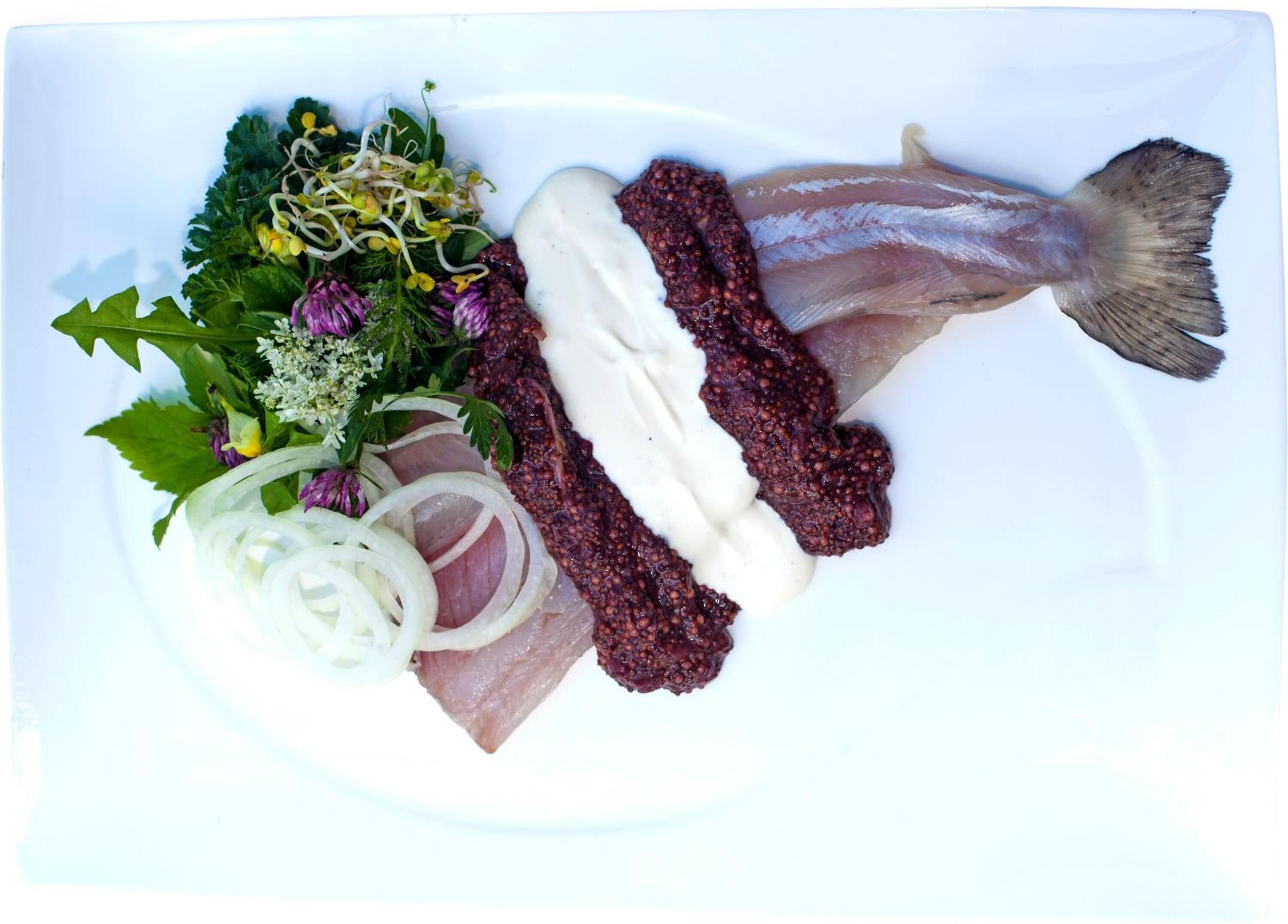 A plate with fish, cream cheese, pickled onions, and a salad.